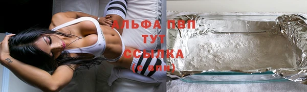 сатива Арсеньев
