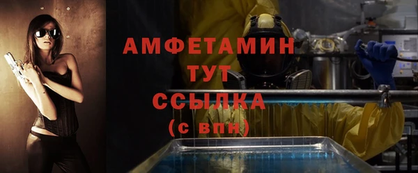 сатива Арсеньев