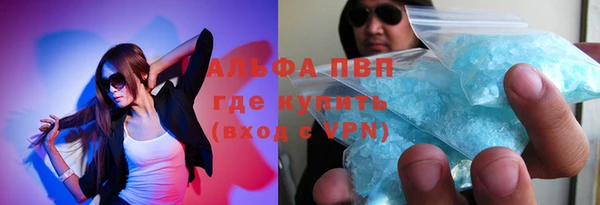 сатива Арсеньев