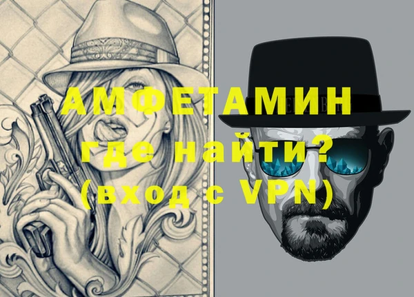 стаф Аркадак