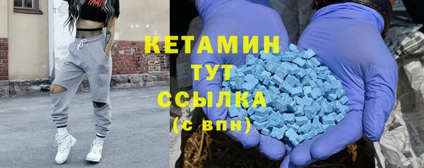 стаф Аркадак
