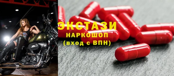 стаф Аркадак