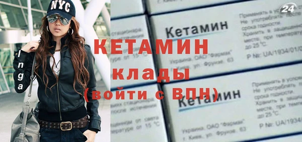 стаф Аркадак
