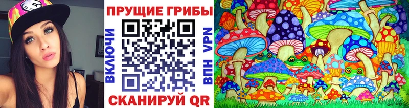 гидра сайт Колпашево Псилоцибиновые грибы Cubensis где купить наркотик